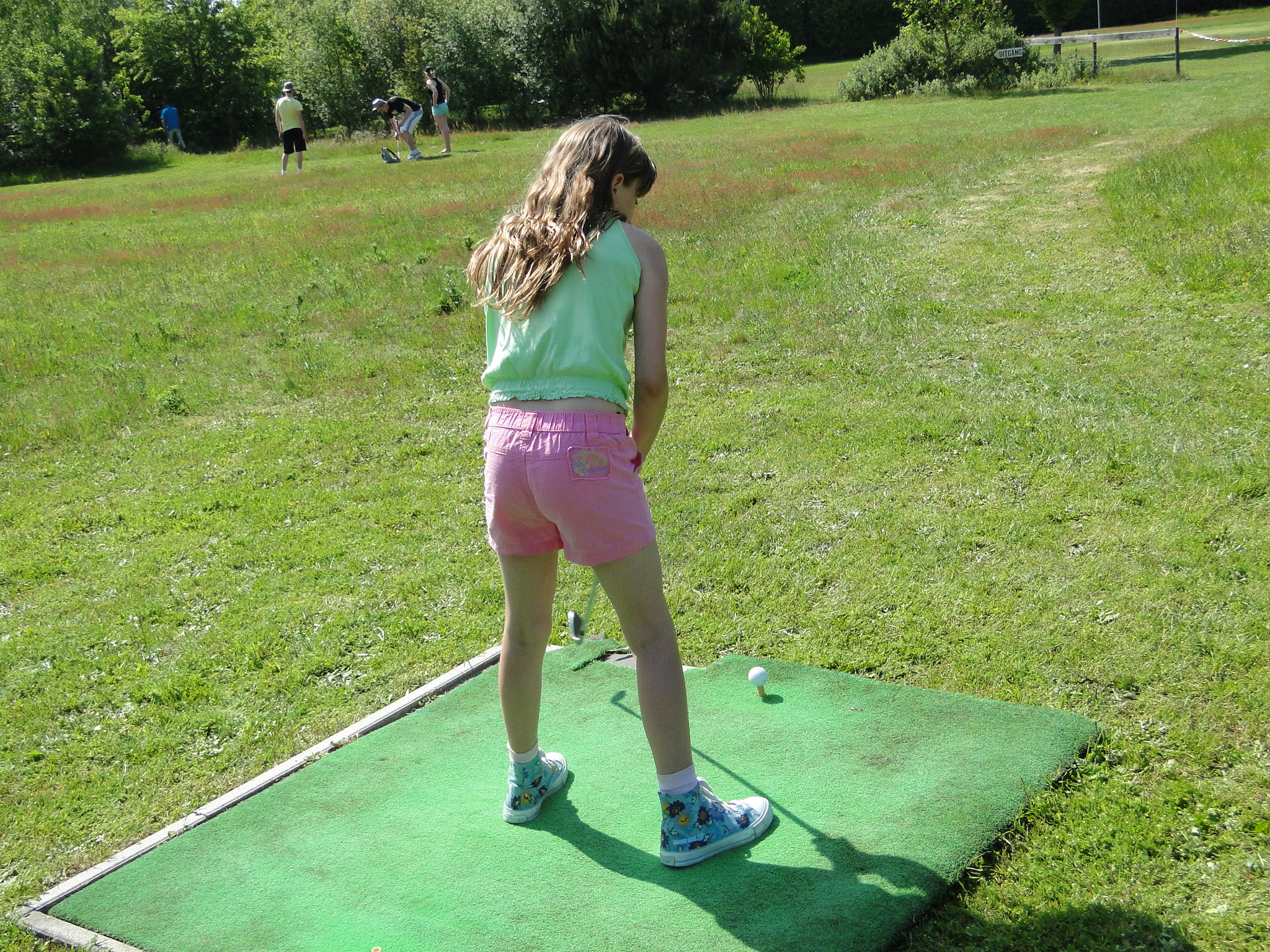 2011HWK 107.jpg